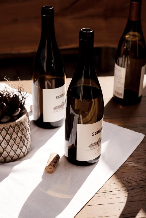 Hotel Bio Weingut Matthias Schnabl Gamlitz Zewnętrze zdjęcie